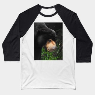 Sun Bear Baseball T-Shirt